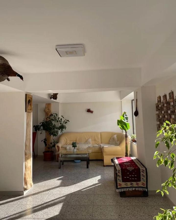 Casa De Vacanta Clara Maria Comarnic Buitenkant foto