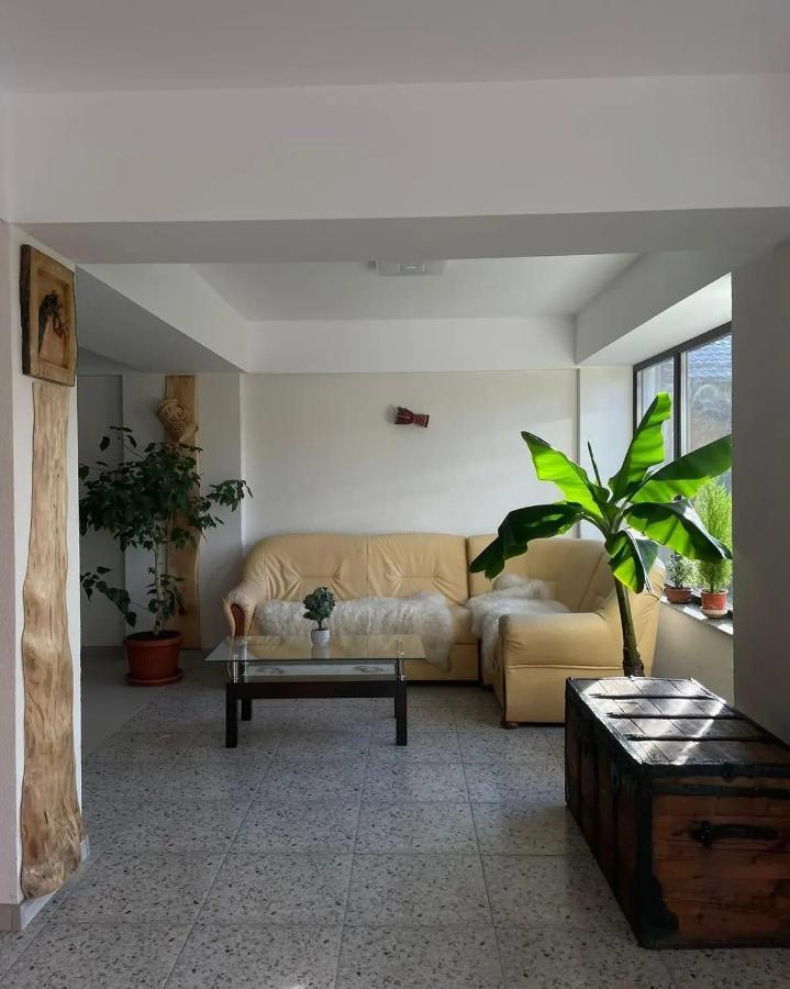 Casa De Vacanta Clara Maria Comarnic Buitenkant foto